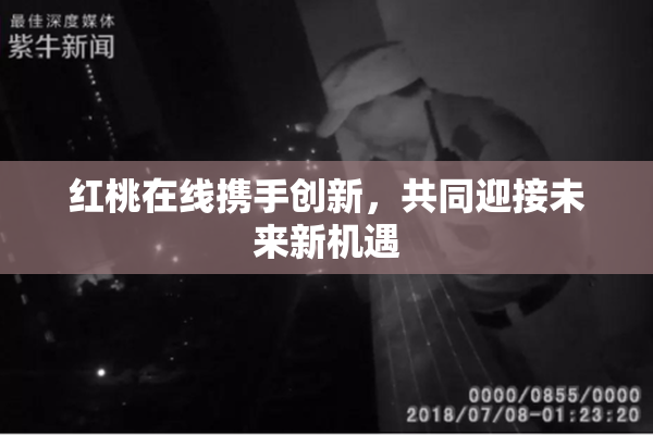 红桃在线携手创新，共同迎接未来新机遇