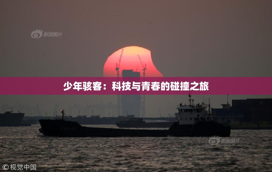 少年骇客：科技与青春的碰撞之旅