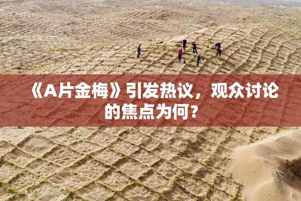 《A片金梅》引发热议，观众讨论的焦点为何？