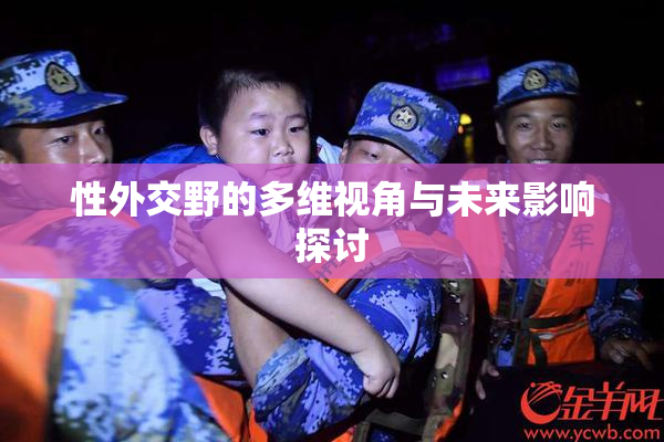 性外交野的多维视角与未来影响探讨