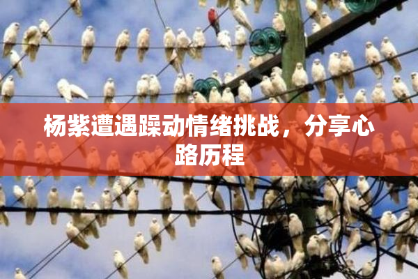 杨紫遭遇躁动情绪挑战，分享心路历程