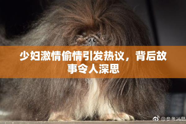 少妇激情偷情引发热议，背后故事令人深思
