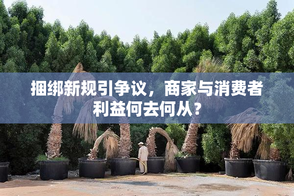 捆绑新规引争议，商家与消费者利益何去何从？