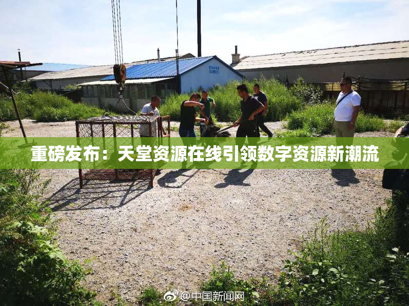 重磅发布：天堂资源在线引领数字资源新潮流