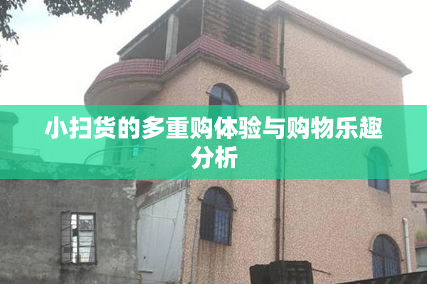 小扫货的多重购体验与购物乐趣分析