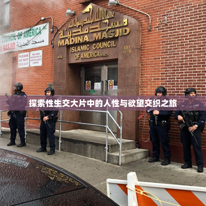 探索性生交大片中的人性与欲望交织之旅