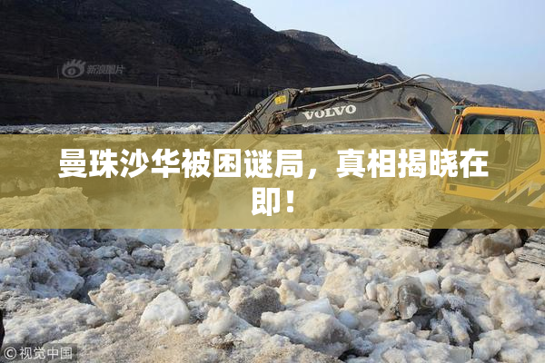 曼珠沙华被困谜局，真相揭晓在即！