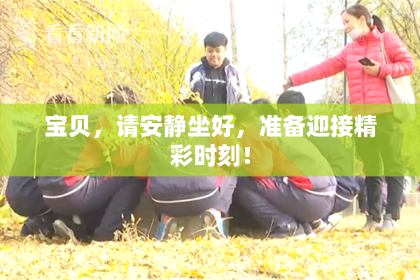 宝贝，请安静坐好，准备迎接精彩时刻！