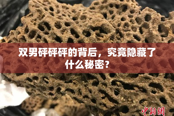 双男砰砰砰的背后，究竟隐藏了什么秘密？