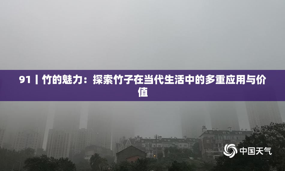 91丨竹的魅力：探索竹子在当代生活中的多重应用与价值