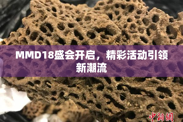 MMD18盛会开启，精彩活动引领新潮流