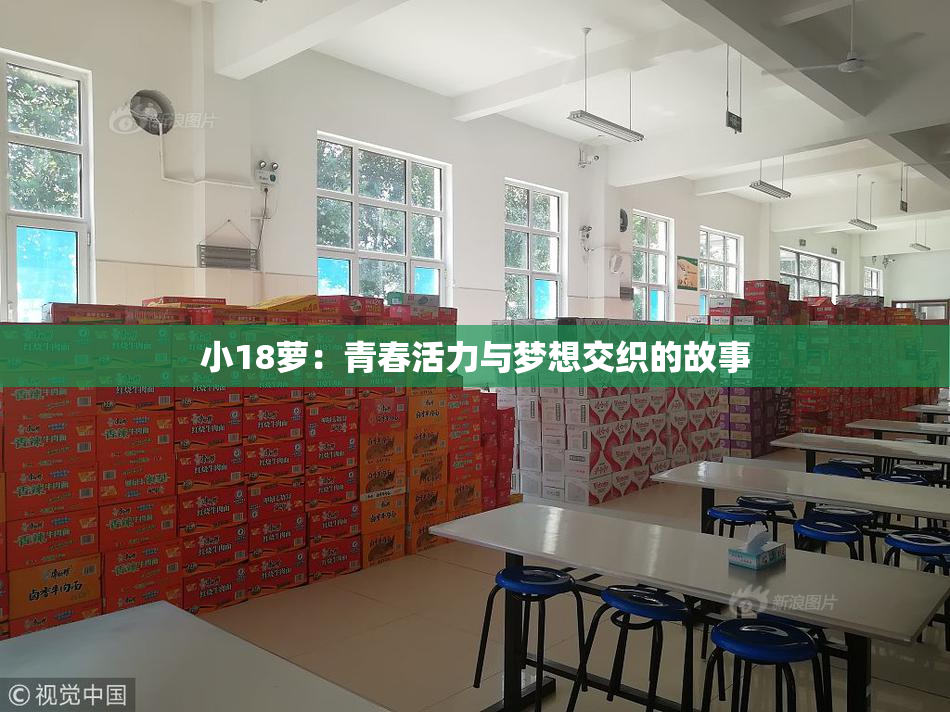 小18萝：青春活力与梦想交织的故事