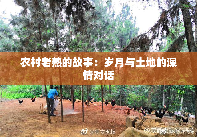 农村老熟的故事：岁月与土地的深情对话