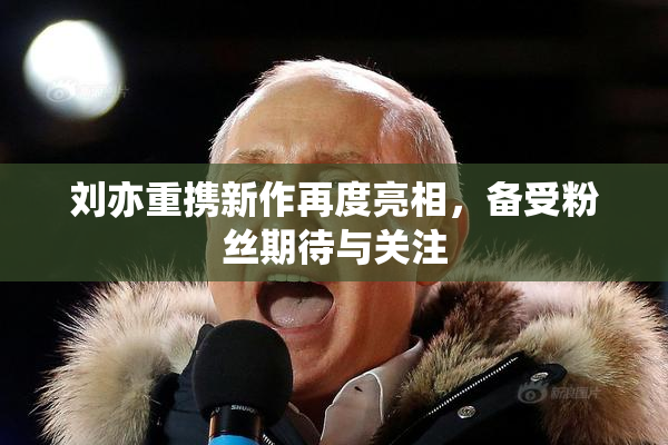 刘亦重携新作再度亮相，备受粉丝期待与关注