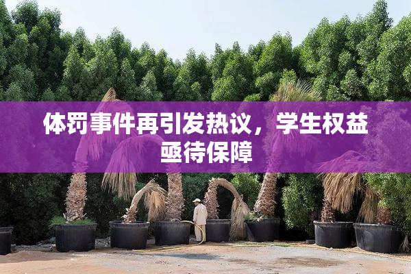体罚事件再引发热议，学生权益亟待保障