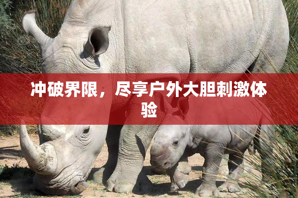 冲破界限，尽享户外大胆刺激体验