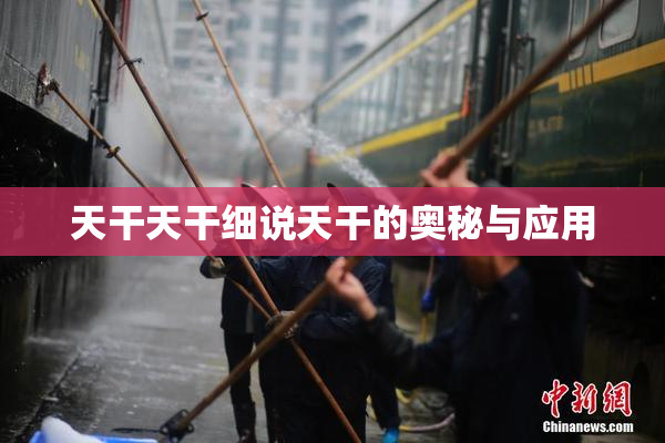 天干天干细说天干的奥秘与应用