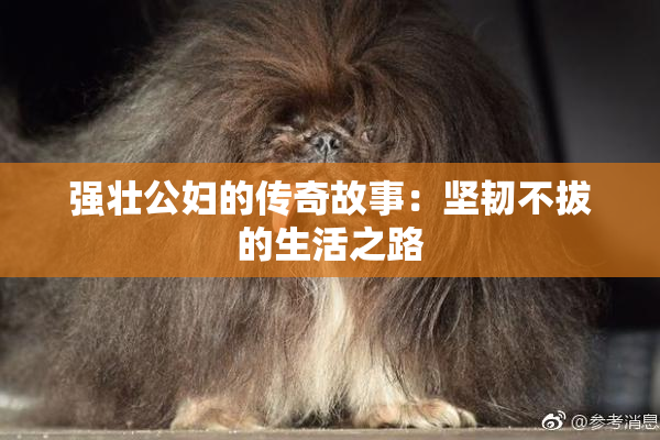 强壮公妇的传奇故事：坚韧不拔的生活之路