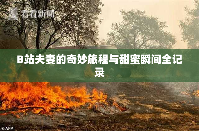 B站夫妻的奇妙旅程与甜蜜瞬间全记录