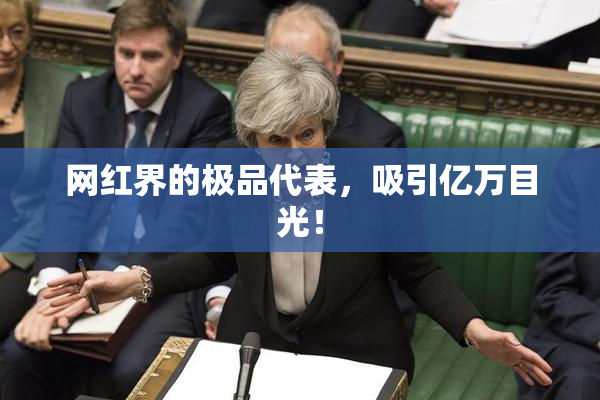 网红界的极品代表，吸引亿万目光！