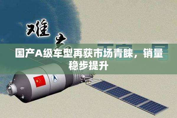 国产A级车型再获市场青睐，销量稳步提升