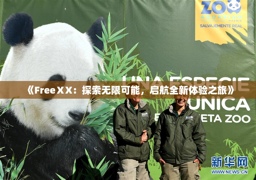 《FreeⅩX：探索无限可能，启航全新体验之旅》