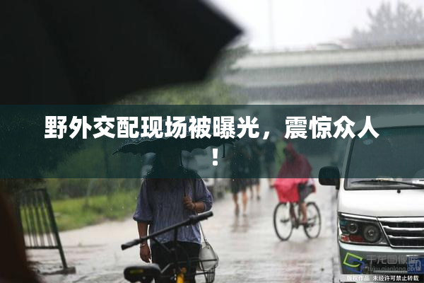 野外交配现场被曝光，震惊众人！