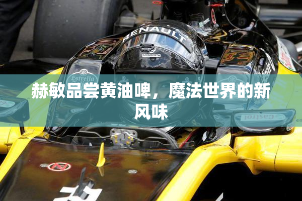 赫敏品尝黄油啤，魔法世界的新风味