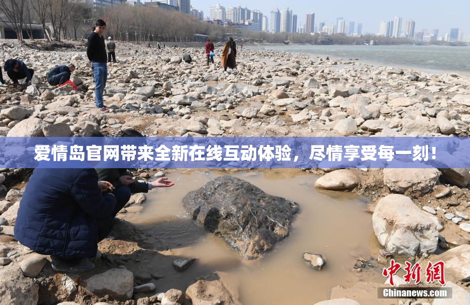 爱情岛官网带来全新在线互动体验，尽情享受每一刻！