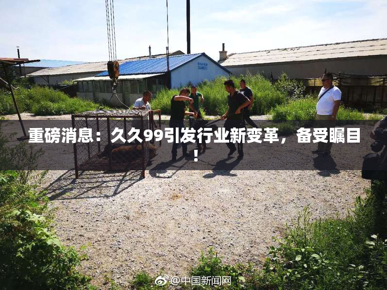 重磅消息：久久99引发行业新变革，备受瞩目！