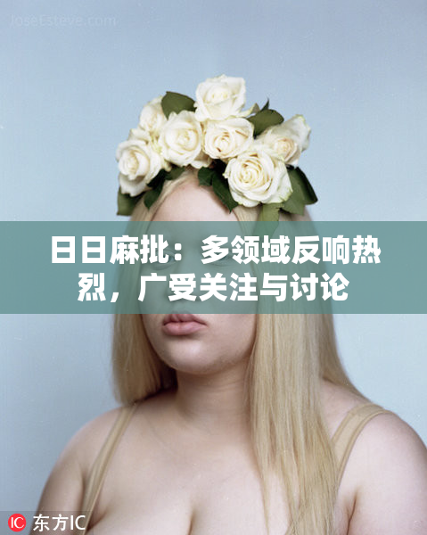 日日麻批：多领域反响热烈，广受关注与讨论