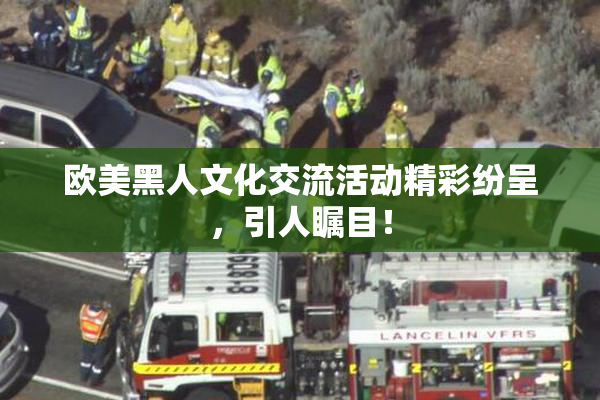 欧美黑人文化交流活动精彩纷呈，引人瞩目！