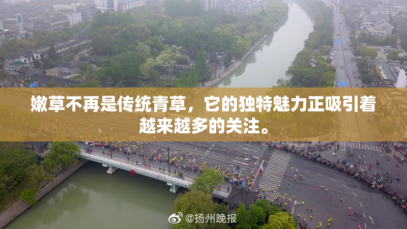 嫩草不再是传统青草，它的独特魅力正吸引着越来越多的关注。