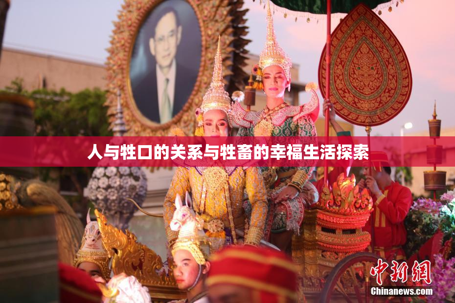 人与牲口的关系与牲畜的幸福生活探索