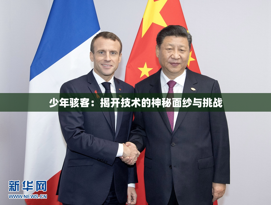 少年骇客：揭开技术的神秘面纱与挑战