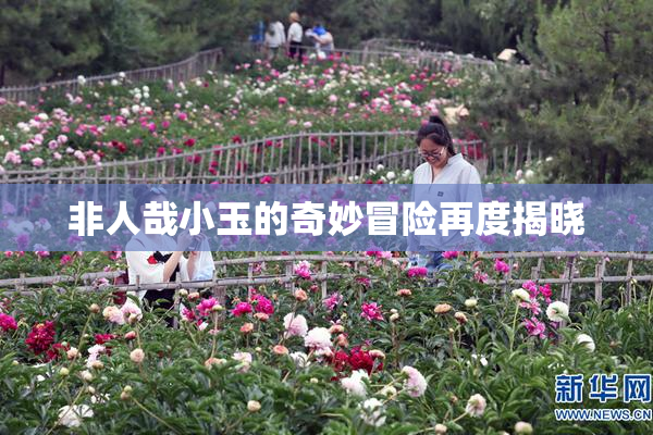 非人哉小玉的奇妙冒险再度揭晓