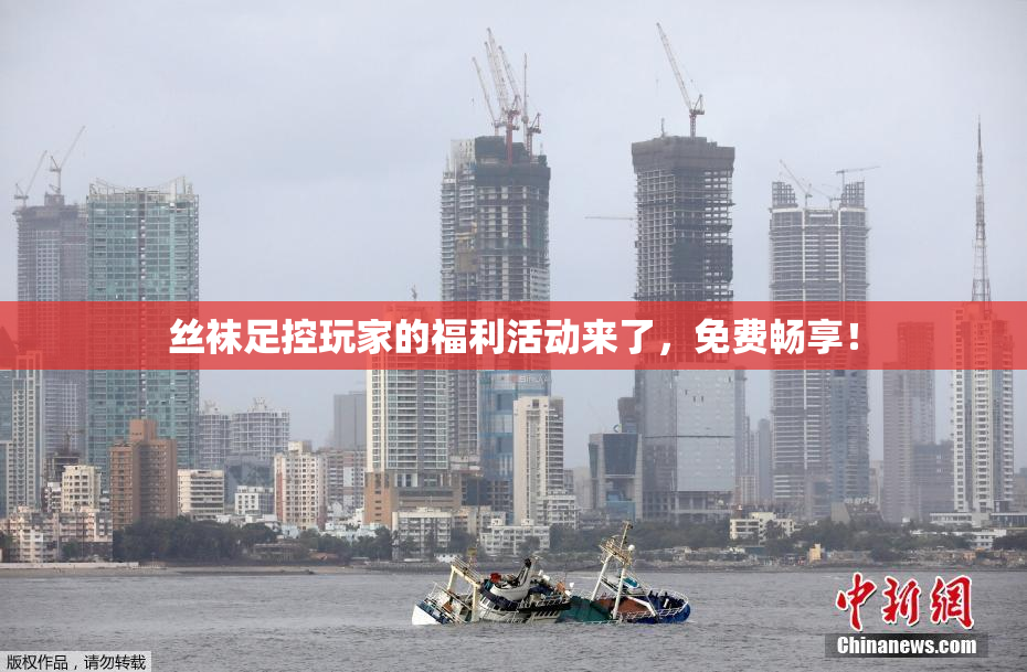 丝袜足控玩家的福利活动来了，免费畅享！