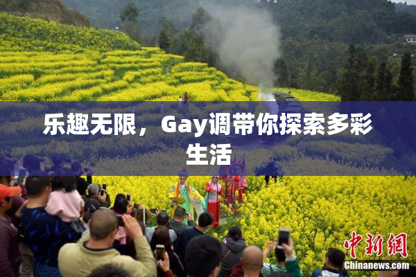 乐趣无限，Gay调带你探索多彩生活