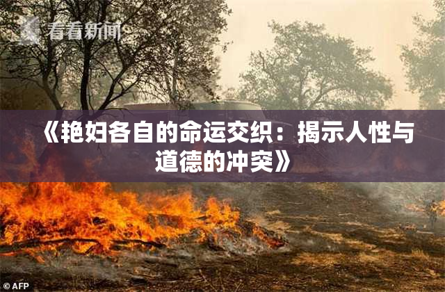 《艳妇各自的命运交织：揭示人性与道德的冲突》