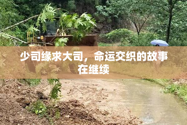 少司缘求大司，命运交织的故事在继续
