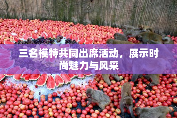 三名模特共同出席活动，展示时尚魅力与风采