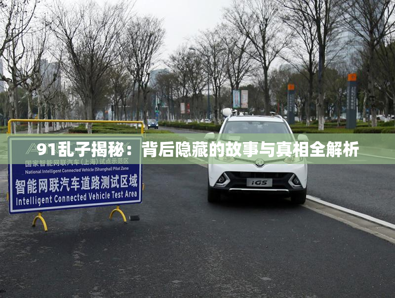 91乱子揭秘：背后隐藏的故事与真相全解析