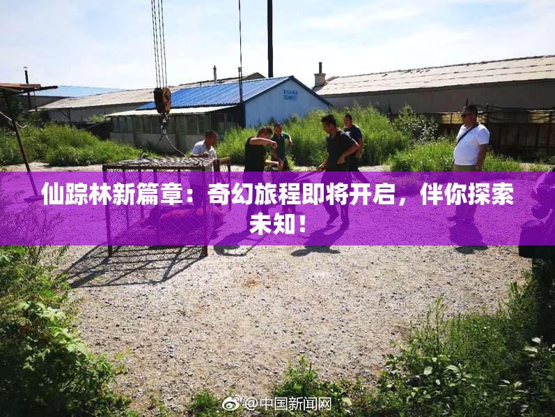仙踪林新篇章：奇幻旅程即将开启，伴你探索未知！