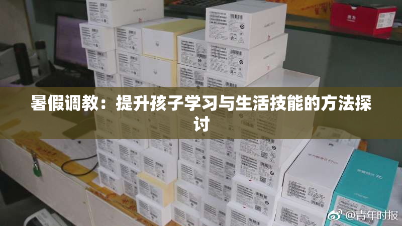 暑假调教：提升孩子学习与生活技能的方法探讨