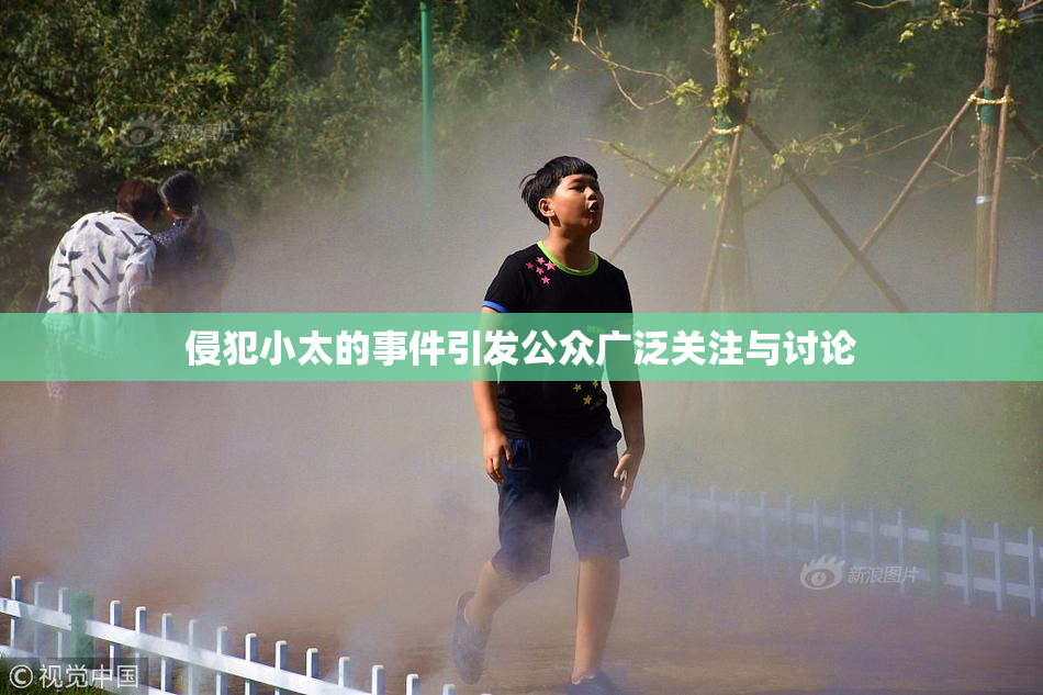 侵犯小太的事件引发公众广泛关注与讨论