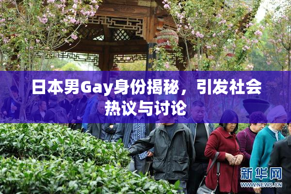 日本男Gay身份揭秘，引发社会热议与讨论