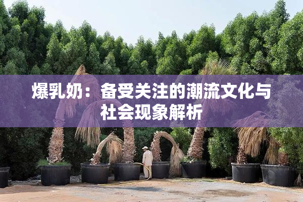 爆乳奶：备受关注的潮流文化与社会现象解析
