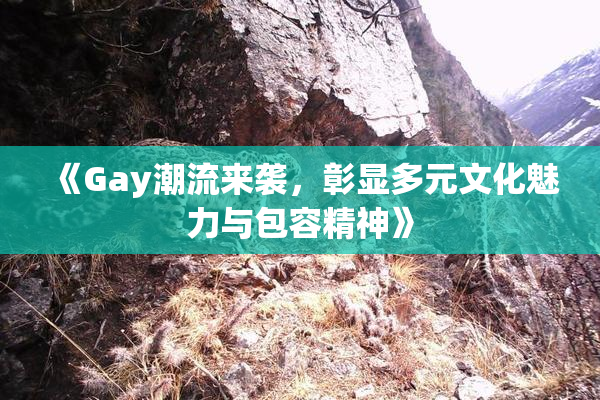 《Gay潮流来袭，彰显多元文化魅力与包容精神》