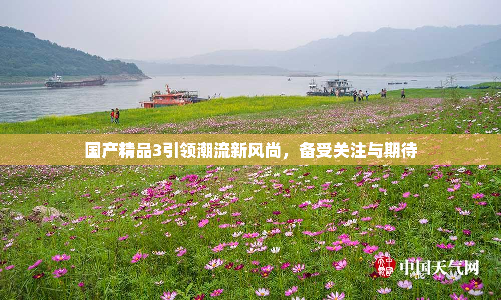 国产精品3引领潮流新风尚，备受关注与期待
