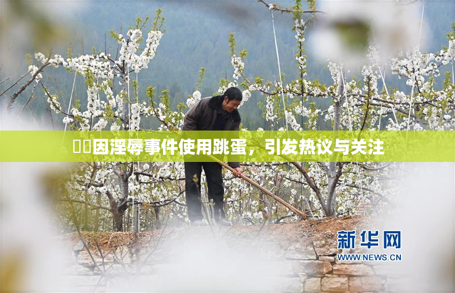 妺妺因淫辱事件使用跳蛋，引发热议与关注